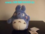 Totoro blue